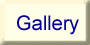 Stompin Gallery link
